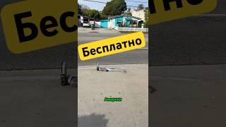 Бесплатные находки в Америке штат Калифорния. #америка
