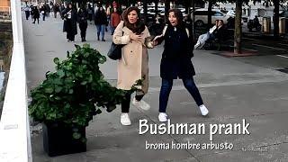 Bushman prank: screams and scares  // hombre arbusto