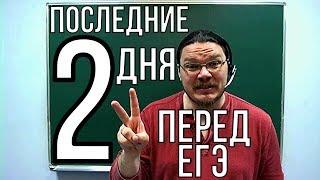 Как провести последние два дня перед ЕГЭ | трушин ответит #017 | Борис Трушин !