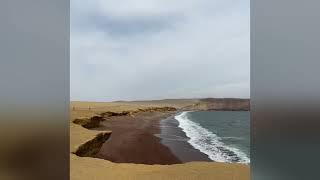 The ULTIMATE DAY TRIP from LIMA, PERU Part 1 | Paracas National Reserve