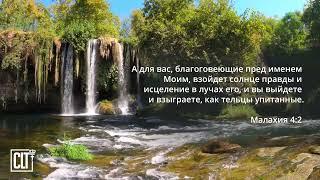 Исцеление,словами Писания!! Верь, провозглашай!