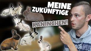 Das sind MEINE ZUKÜNFTIGE Kaninchen!   | Schustrich S 2.0 ⭐