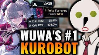 The Best Builds I've Ever Seen | WuWa Account Reviews