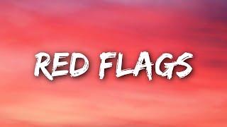 Mimi Webb - Red Flags (Lyrics)