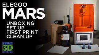 Elegoo Mars mSLA LCD 3D Printer - Unbox/Setup/Print/Clean