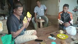 IT'S NOT EASY TO BE A LEADING AVOCUTE IN PANJALU - BILLIONAIRE FARMERS
