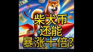  柴犬币 (Shiba Inu Coin) 还能翻10倍？深入揭秘它的暴涨逻辑与价格预测！