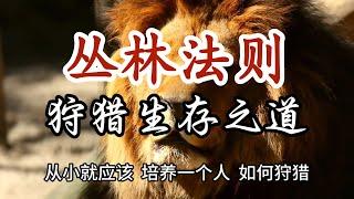 狩猎生存是丛林法则的首要学习，只有真正经历过事情的人，才真正听懂这个视频，真正懂得社会的运作规律