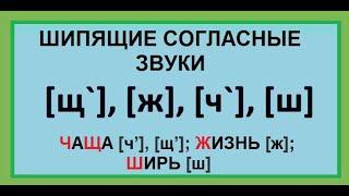 Шипящие согласные звуки. 1 класс. Повторение.