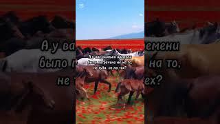 цитаты #лошади #омархайям #умныемысли #афоризмы  #цитатывеликих #цитатыпрожизнь #красивоевидео