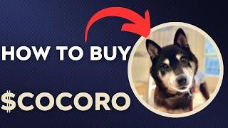 How To BUY $COCORO – COCORO TOKEN CRYPTO COIN IN 60 SECONDS