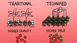 KNOW YOUR STUFF! - What is shade-grown coffee? (5/16)