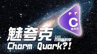 什麼是魅夸克 (Charm Quark)?【百秒說科學】