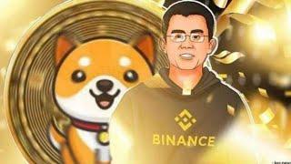 Baby Dogecoin Binance 