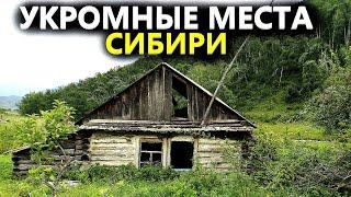 Такое не покажут по телевизору. Копал три дня находки. Коп поиск монет 2022