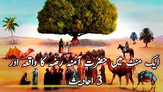 Hazrat Amina (R.A) Ka waqiya| Story of Holy Prophet Muhammad saw Mother |