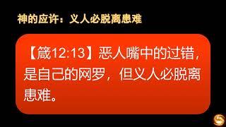 新约24 马太福音 人子是安息日的主（第十二章）