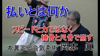 合気柔術チャンネル　技術・理合#042 　払いとは何か　aiki 　makoto okamoto