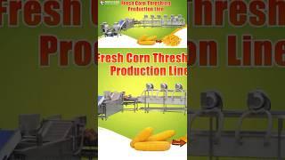 Sweet Corn Kernel Production Line, #corn Sheller Blanching Drying Machine