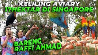 DIKIRA KEBUN BINATANG BIASA, PADAHAL ADA AVIARY SUPER BESAR DIDALAM SINI GAESS...!