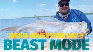 How to Catch Threadfin Salmon and Barramundi on Soft Plastics and Soft Vibes - Weipa Adventure Day 3