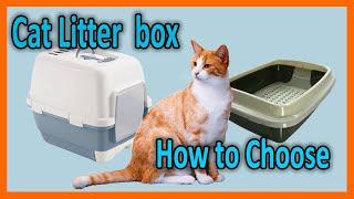 Best Cat Litter box - How to Choose?