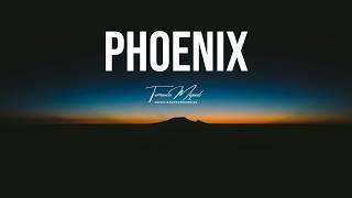 POP TYPE BEAT | "Phoenix"