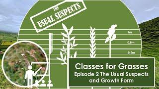 Classes for Grasses - Episode 2 The Usual Suspects