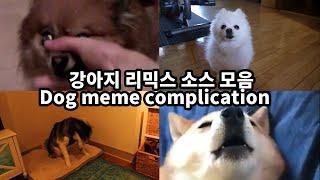 강아지 리믹스 소스 모음 ( 원본 ) & 강아지 리믹스 만드는법