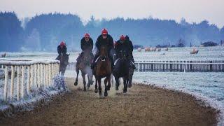 Jockey Mark Enright on how he overcame depression