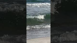 Gulf Homes For Sale in Alabama