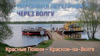 Паромная переправа через Волгу Красное-на-Волге и Красные Пожни. Костромская область.