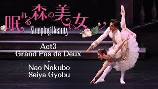 眠れる森の美女第3幕よりグラン・パ・ド・ドゥ/NBAバレエ団  Sleeping Beauty act3 Grand pas de deux /野久保奈央×刑部星矢