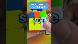 Why Speedcubers Use Their Left Hand! #rubikscube #cuber #cubing