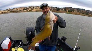 Lake Berryessa Catfishing June 2022!