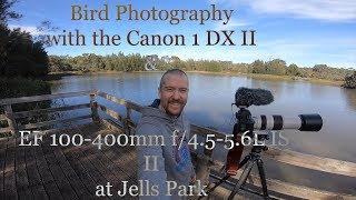 BIRDS ARE AWESOME!- Bird Photography with the CANON 1DX II & EF 100-400MM f/4.5-5.6L IS II USM