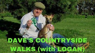 DAVE'S COUNTRYSIDE WALKS (with LOGAN the Whippet): WELCOME TO MY CHANNEL - AN INTRODUCTION