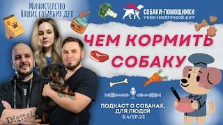 Чем кормить собаку? Подбор рациона. Мифы и недопустимые диеты.