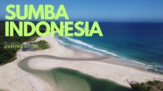 Ever heard of SUMBA INDONESIA? #shorts