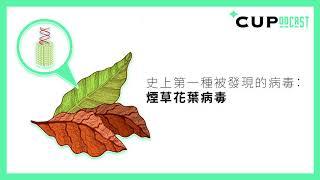 【*CUPodcast】#7 史上第一種被發現的病毒：煙草花葉病毒