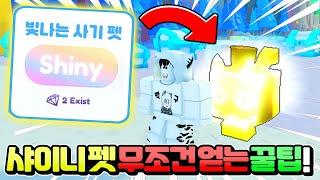 펫시뮬X 업데이트 2.5배 강해진 빛나는 샤이니 펫 무조건 얻는 방법 알아냈습니다 ㅋㅋㅋ 무료로 휴즈펫 뿌리는 거 실화?! [로블록스 펫 시뮬레이터 X 백나른]