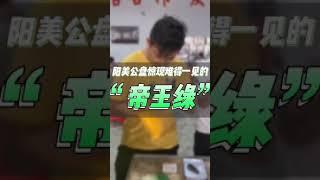 帝王綠翡翠原石你見過嘛？今天就帶大家去看看公盤上的帝王綠翡翠原石！