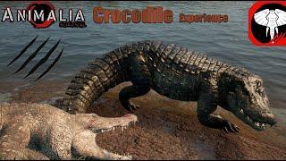 Crocodile Experience - Animalia Survival (full growth)