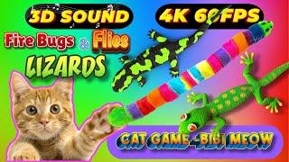 CAT GAMES TOM TV & BiBi | Ultimate Compilation Catching The LIZARDS , Flies, FireBugs11 HOURVol 52