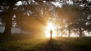 Vision of the New World - David Hoffmeister, A Course in Miracles ACIM