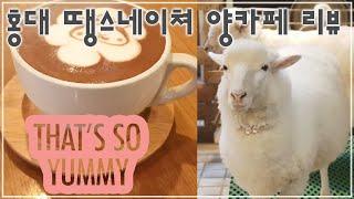 Sheep Cafe (Seoul, Hongdae) Thanks Nature Cafe review #1