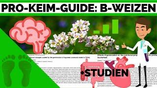 (3 Studien)Buchweizen Sprossen Pro Guide - Vorteile, Nährwerte, Schimmel vermeiden, Keimrate erhöhen