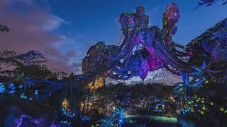 Animal Kingdom Pandora at Night - 8 Hour Loop