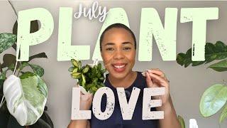 July Plant Favourites| Variegation, Splash & 🪙