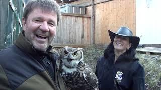 Unsere wunderbaren Greifvögel aus unserem Winterquartier, ganz NAH!  Wir haben den schönsten Beruf !